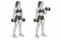 Realistic exercise illustration of Dumbbell Curl thumbnail highlighting Biceps, Brachialis, Forearms.