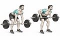 Realistic exercise illustration of Barbell Row thumbnail highlighting Lats, Mid back, Biceps.