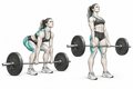 Realistic exercise illustration of Deadlift thumbnail highlighting Glutes, Hamstrings, Back.