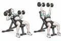 Realistic exercise illustration of Incline Bench Press thumbnail highlighting Chest, Front shoulders, Triceps.