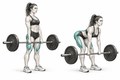 Realistic exercise illustration of Romanian Deadlift thumbnail highlighting Glutes, Hamstrings, Back.