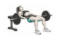 Realistic exercise illustration of Hip Thrust thumbnail highlighting Glutes, Hamstrings.