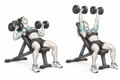 Realistic exercise illustration of Incline Dumbbell Bench Press thumbnail highlighting Chest, Front shoulders, Triceps.