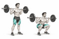 Realistic exercise illustration of Pause Squat thumbnail highlighting Quadriceps, Glutes, Adductors.
